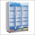 High Quality Beverage Upright Glass Door Display